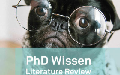 PhD Wissen: Literature Review