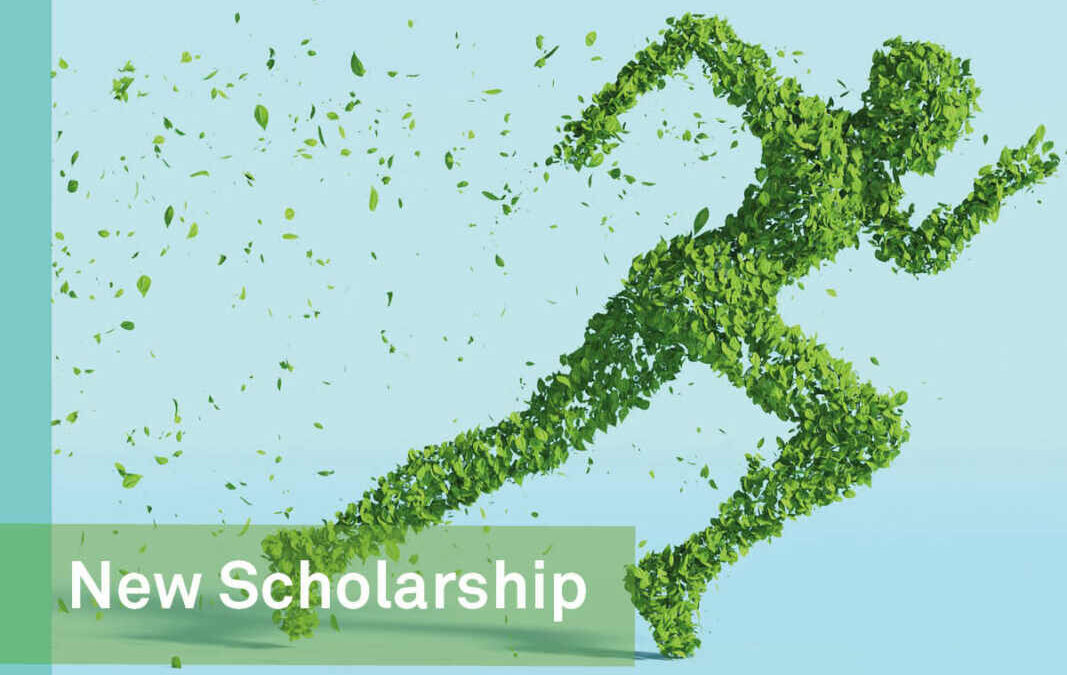 New Scholarship in Cooperation with REMONDIS