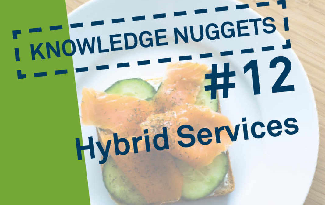 Knowledge Nugget 12: Hybrid Services