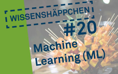 Wissenshäppchen #20: Machine Learning (ML)