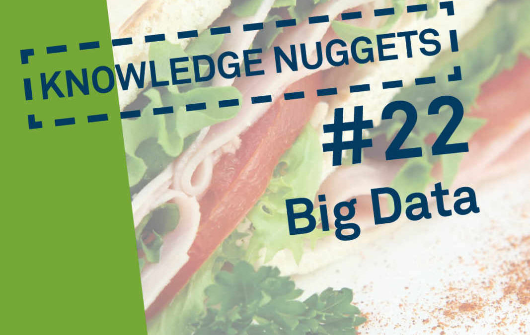 Knowledge Nugget #22: Big Data