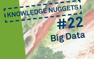 Knowledge Nugget #22: Big Data