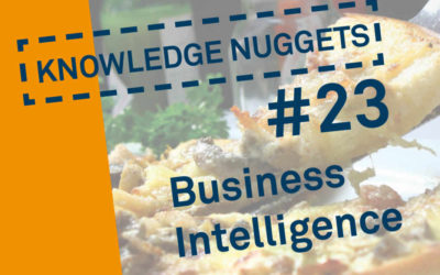 Knowledge Nugget #23: Business Intelligence