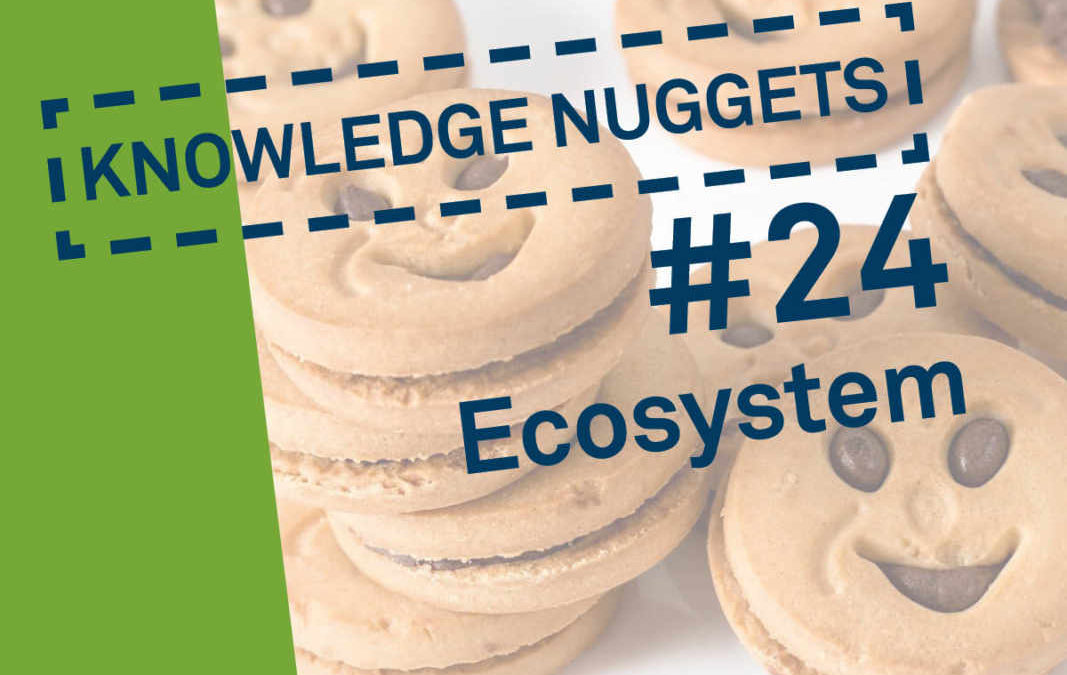 Knowledge Nugget #24: Ökosystem
