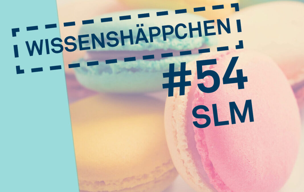 Wissenshäppchen #54: Small Language Models