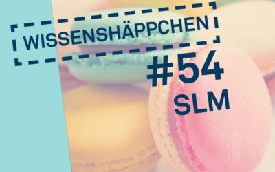 Wissenshäppchen #54: Small Language Models