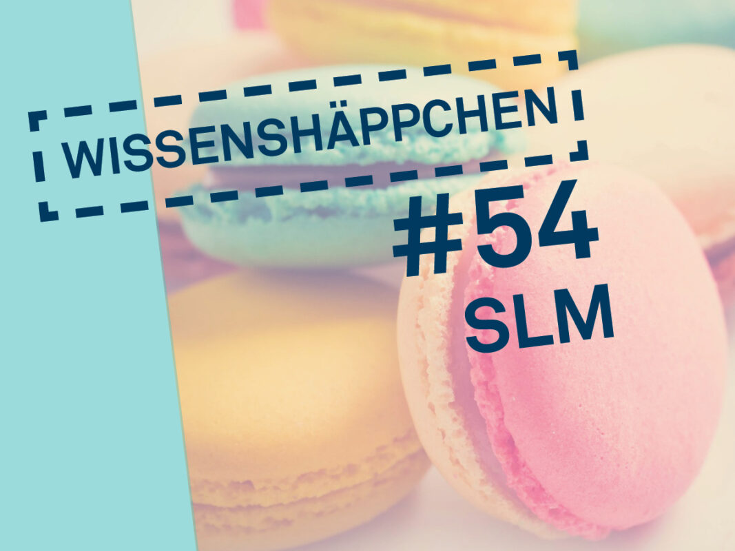 Macarons in Türkis, Pink und Gelb, gestapelt, Schriftzug: Wissenshäppchen Nr. 54, Small Language Model