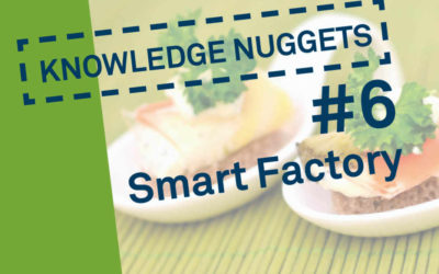 Knowledge Nugget #6: Smart Factory