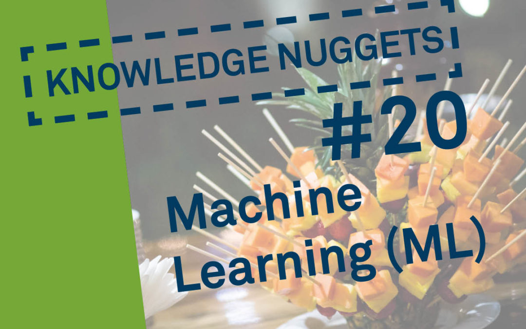 Knowledge Nugget #20: Machine Learning (ML)