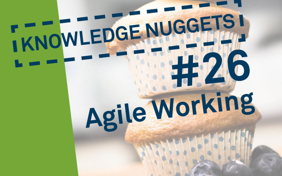 Knowledge Nugget #26: Agile Working
