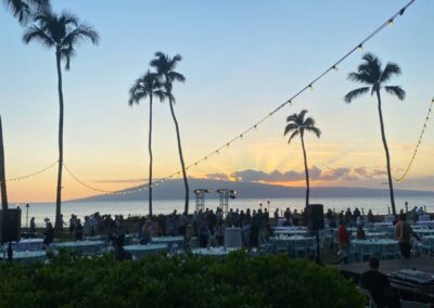 Palmen vor Sonnenuntergang, Maui, Hawaii, Meer